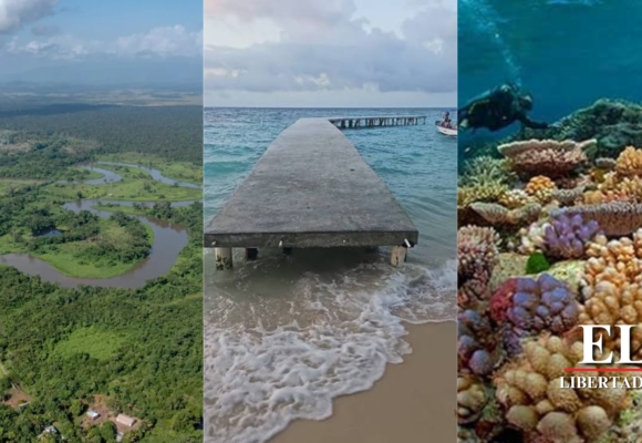 ¡ALERTA! AMBIENTALISTAS ADVIERTE QUE MEGAPROYECTOS EN OMOA Y LA MOSQUITIA DESTRUIRAN EL PATRIMONIO NATURAL DE HONDURAS