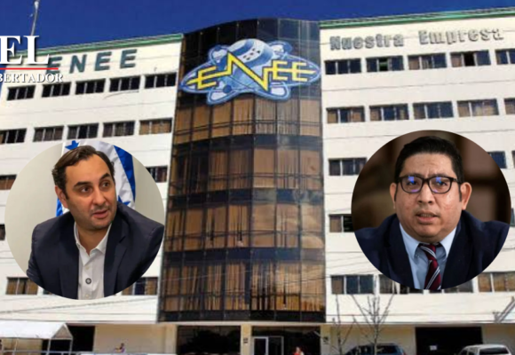 TEJADA AFIRMA QUE DECLARACIONES DE GERENTE DE LA ENEE EVIDENCIAN INTENCIÓN DE PRIVATIZAR EL SECTOR ELÉCTRICO