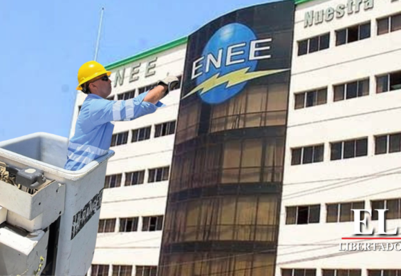 ENEE SE PUEDE RESCATAR SIN PRIVATIZACIÓN, AFIRMA INGENIERO