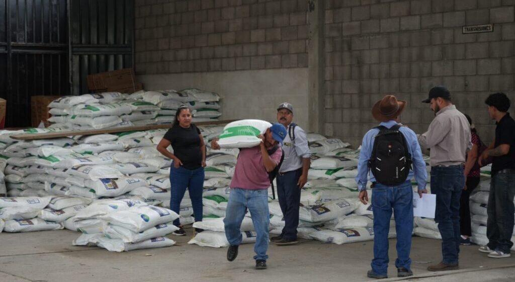 ENTREGAN INCENTIVOS AGRÍCOLAS A PRODUCTORES DEL DISTRITO CENTRAL