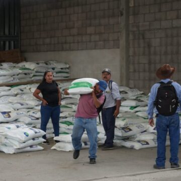 ENTREGAN INCENTIVOS AGRÍCOLAS A PRODUCTORES DEL DISTRITO CENTRAL