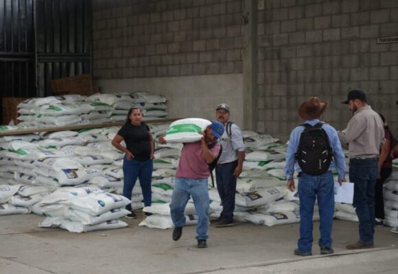 ENTREGAN INCENTIVOS AGRÍCOLAS A PRODUCTORES DEL DISTRITO CENTRAL