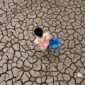 “EMERGENCIA CLIMÁTICA ESTÁ PROFUNDIZANDO UN PROBLEMA ALIMENTARIO HISTÓRICO Y ESTRUCTURAL”: FOSDEH TRAS FENÓMENO EL NIÑO