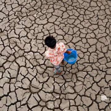 “EMERGENCIA CLIMÁTICA ESTÁ PROFUNDIZANDO UN PROBLEMA ALIMENTARIO HISTÓRICO Y ESTRUCTURAL”: FOSDEH TRAS FENÓMENO EL NIÑO