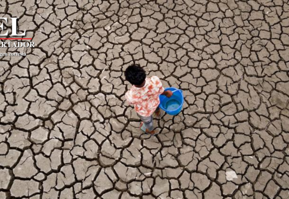 “EMERGENCIA CLIMÁTICA ESTÁ PROFUNDIZANDO UN PROBLEMA ALIMENTARIO HISTÓRICO Y ESTRUCTURAL”: FOSDEH TRAS FENÓMENO EL NIÑO